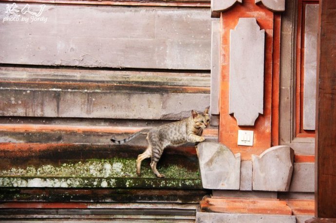艺术漆巴厘岛,巴厘岛美拉艺术酒店