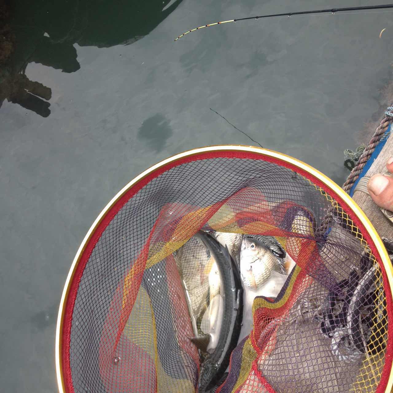 海筏最佳时间表,夏天岸筏技巧