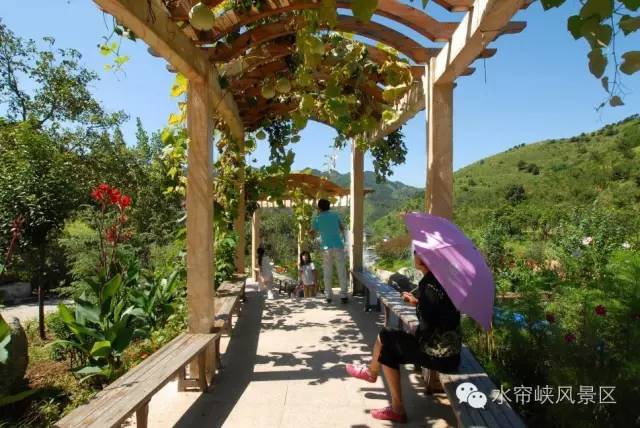 济南旅游水帘峡景点全攻略,济南水帘峡需要爬山吗现在