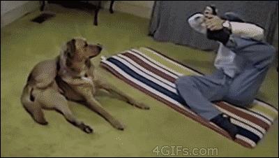 “萌”字最重要！瞧这些小东西，真是太可爱了！最后一张图亮了！