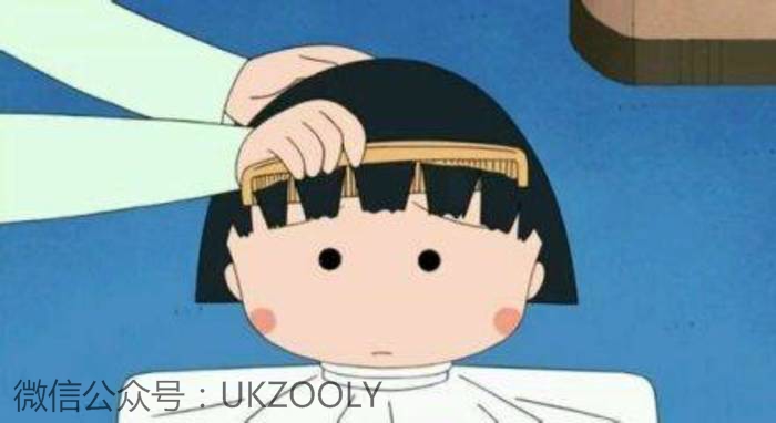 烫染受损头发还能染什么颜色,烫染受损头发可以做柔顺吗