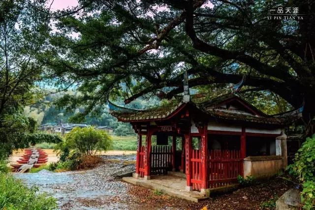 永安：抗战时期的省会，被遗忘的闽中古堡