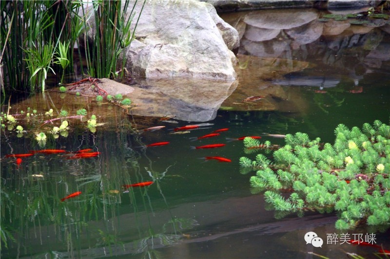 邛崃值得去的地方,邛崃好耍的风景区