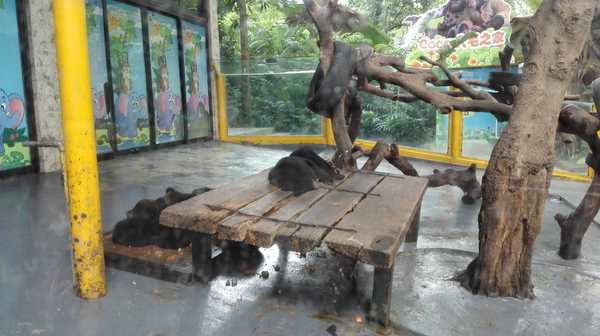 2017春节珠海广州长隆5日亲子游,广州珠海长隆五日游