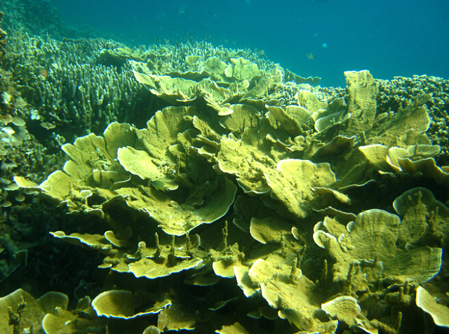 别去马代了，让我们到帕劳看看（帕劳旅游攻略）