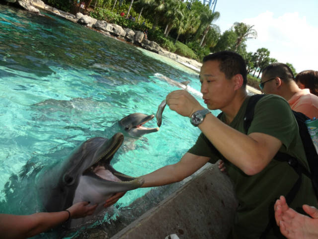 别去马代了，让我们到帕劳看看（帕劳旅游攻略）