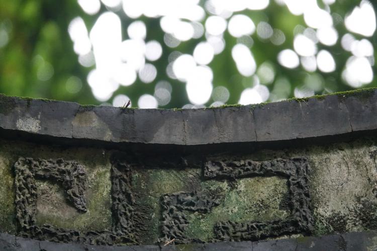 索尼rx10iii测评,索尼rx10第四代使用体验