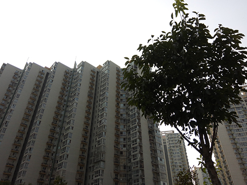 千元机魅蓝note5,360n4和红米