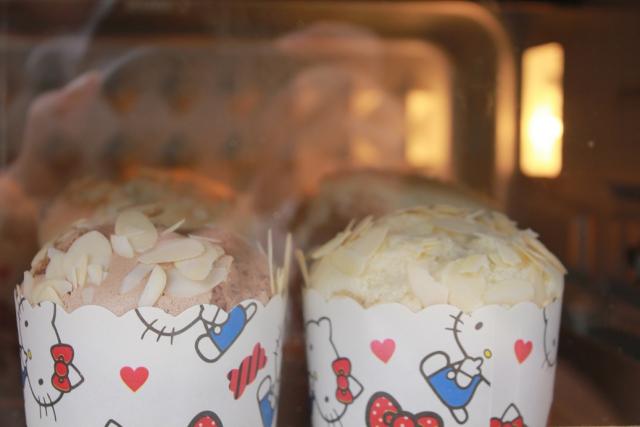 东菱老式烤箱12升怎么使用,东菱电烤箱610