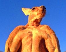 和讯网股票行情实时动态全面解读,和讯股票最新分析