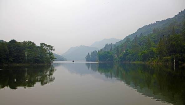 成都金堂猕猴桃,成都猕猴桃