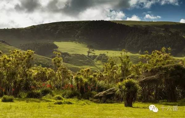 随手一拍都是一个风景视频,随手一拍就是一幅油画