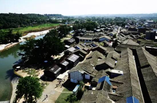 成都金堂猕猴桃,成都猕猴桃