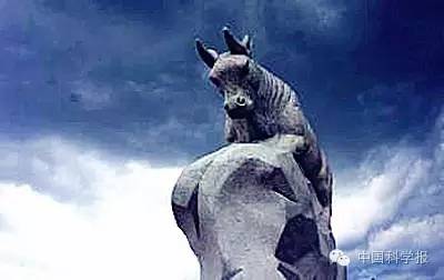 博士和导师哪个比较好,博士选年轻导师还是大牛