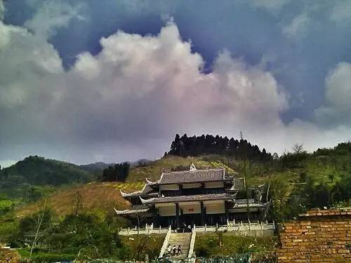 成都金堂猕猴桃,成都猕猴桃