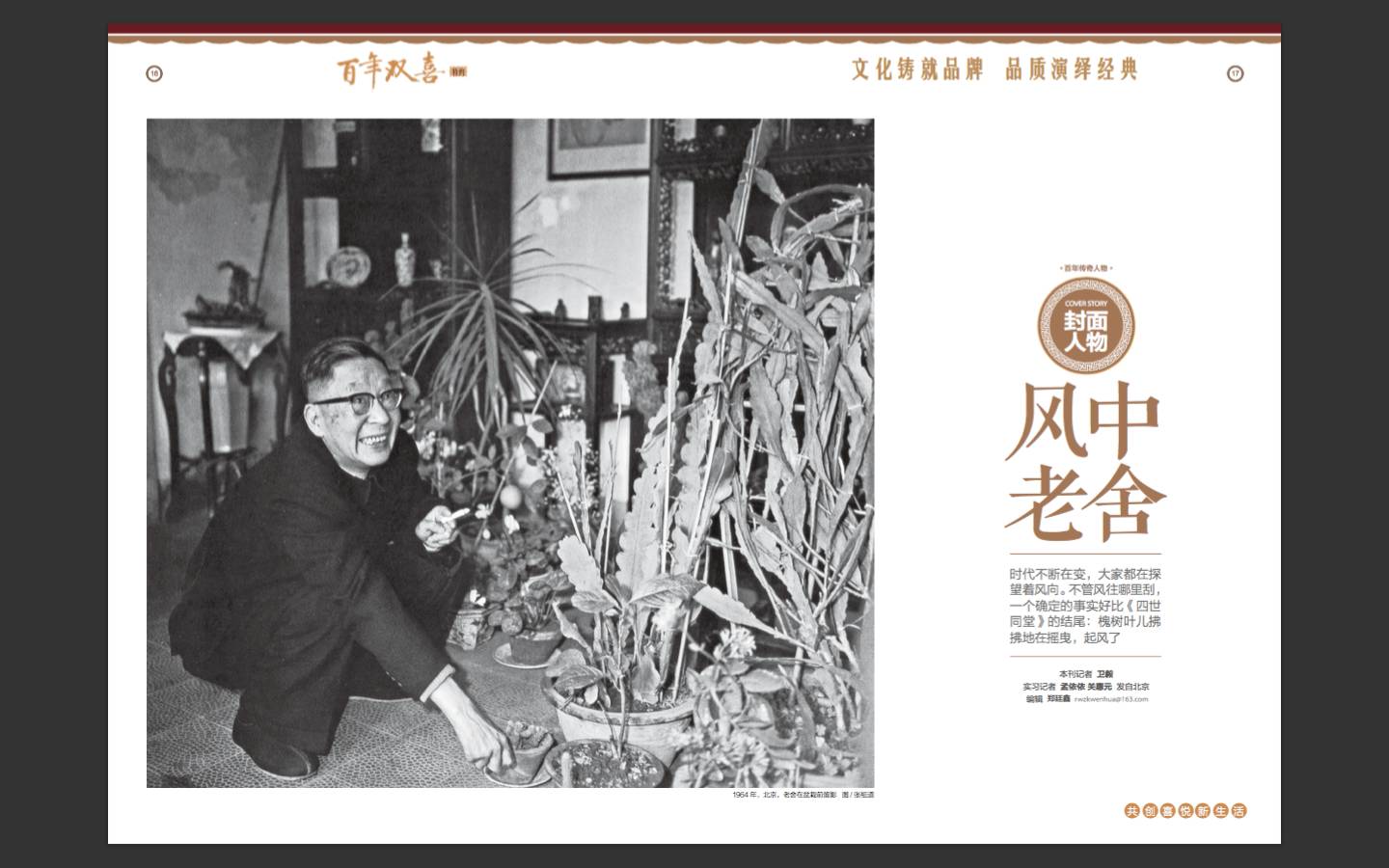 风中笔者知乎,风中柳图片