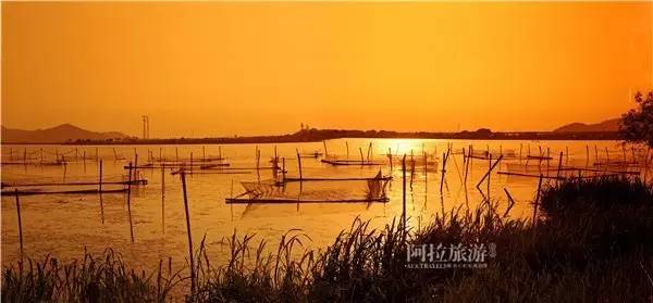 秋风起，宁波人纷纷赶去了这个“浙东第一蟹乡”！湖美螃蟹壮