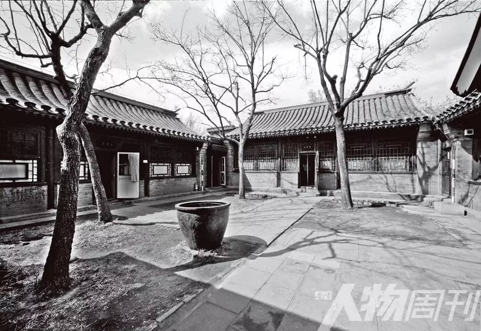 风中笔者知乎,风中柳图片