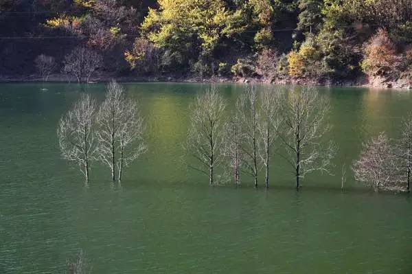 宝鸡人,宝鸡人在西安打拼