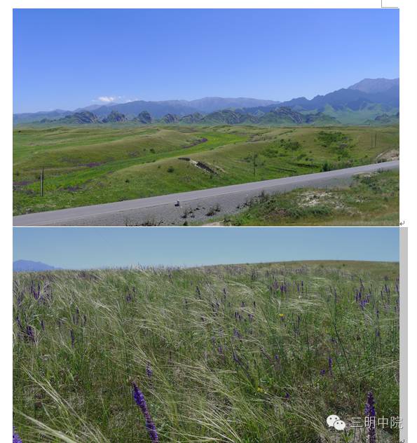 疆域风情玛纳斯,玛纳斯冰雪风情旅游季