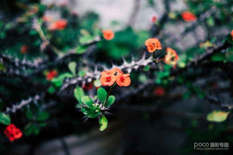 每个妈妈都是孩子的专属摄影师,每个妈妈都是孩子的摄影师