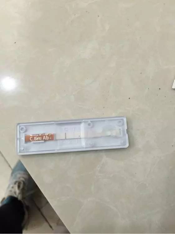 别让试纸草率地夺去猫狗的命！