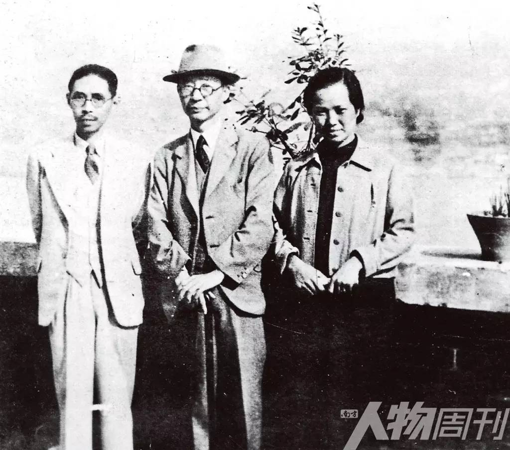 风中笔者知乎,风中柳图片