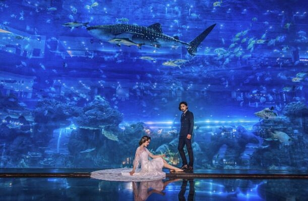 “鱼”国同欢，199元看海坐潜艇!——浩海立方超值海洋游礼献国庆