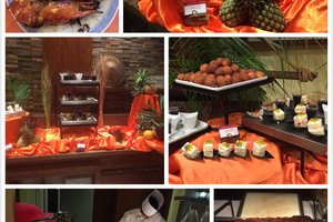 身心的放逐---毛里求斯