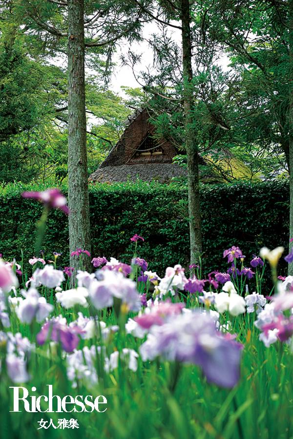 隈研吾建筑大师,日本建筑师隈研吾别墅