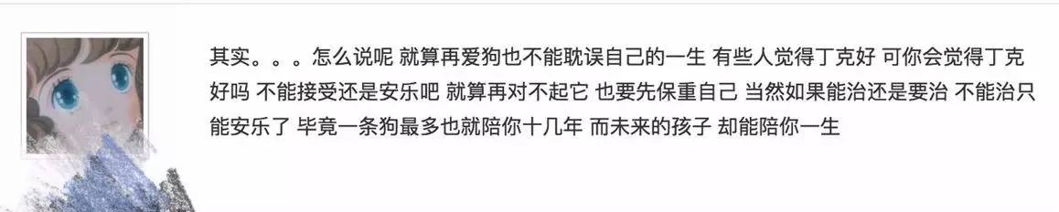 别让试纸草率地夺去猫狗的命！