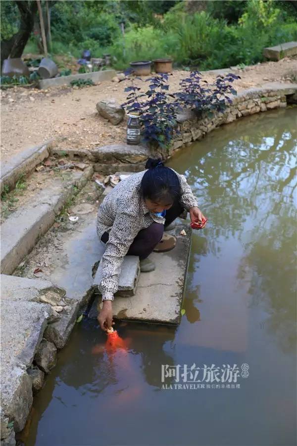 秋风起，宁波人纷纷赶去了这个“浙东第一蟹乡”！湖美螃蟹壮