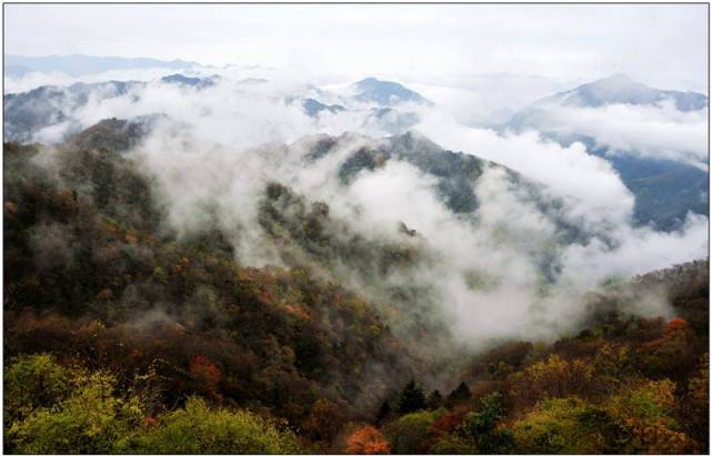 宝鸡人,宝鸡人在西安打拼