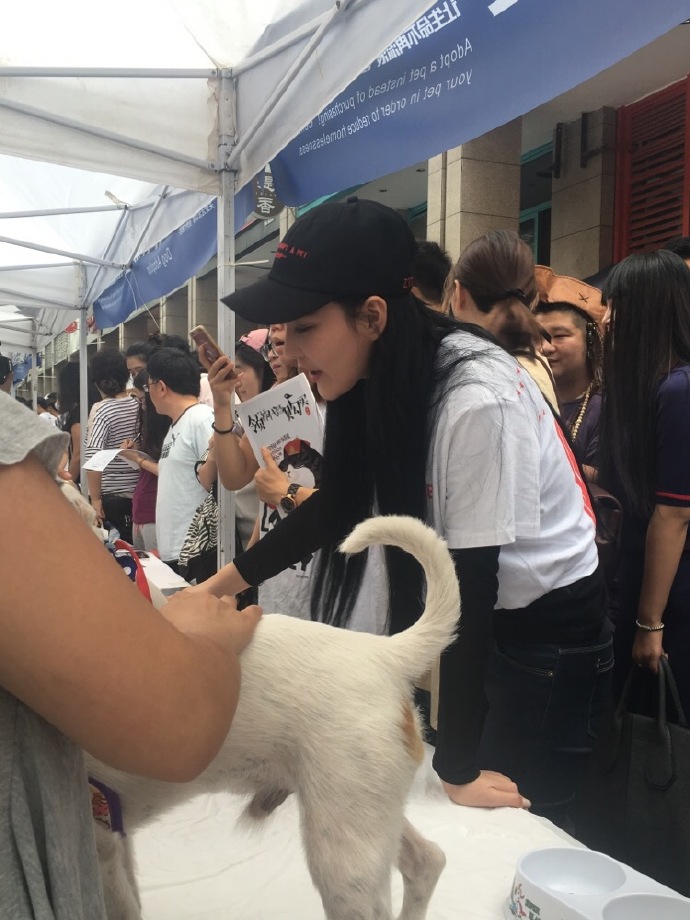 馨予出席宠物领养日很有爱，为何却被网友吐槽！