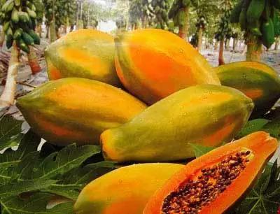 印尼巴厘岛吃什么食物,印尼巴厘岛有什么