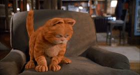 就让加菲毁掉你的中秋吧喵哈哈哈