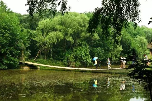 凤凰岛把公园还给你，你还欠自己一次隐居