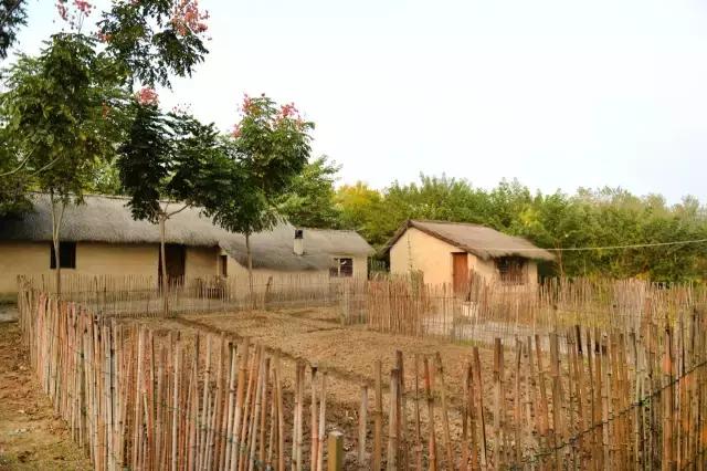 凤凰岛把公园还给你，你还欠自己一次隐居