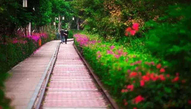 你为什么定居厦门,多少人离开了厦门