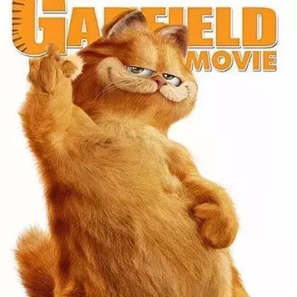 就让加菲毁掉你的中秋吧喵哈哈哈