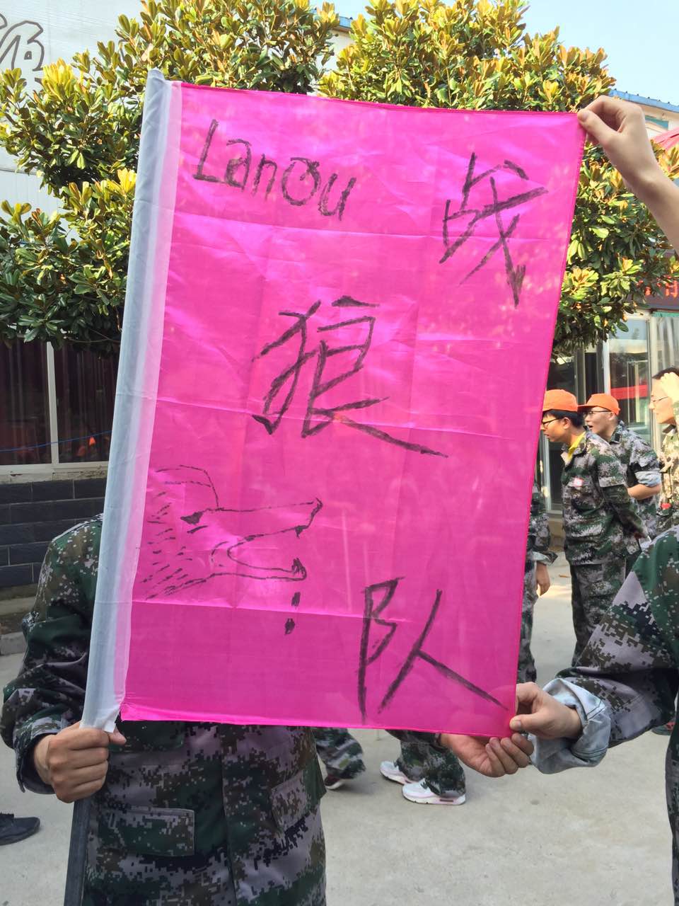 蓝鹰拓展训练营,蓝鸥培训好不好