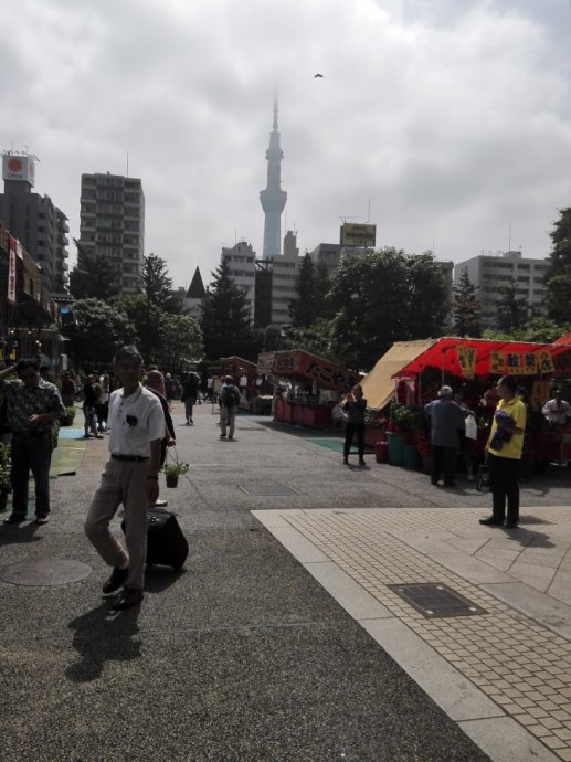 日本东京的城市特点,日本东京被称为什么