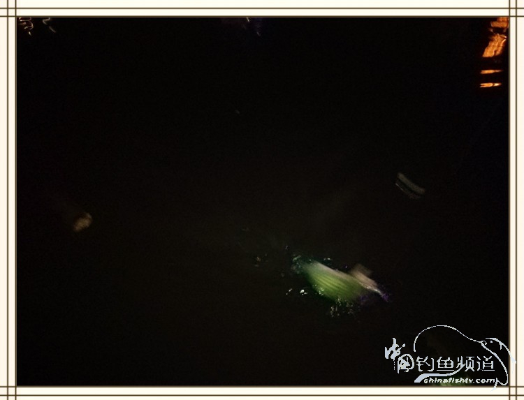 钓鱼独辟蹊径,钓鱼不求渔获