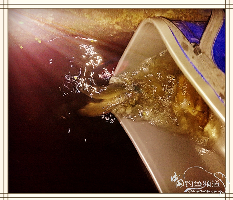 钓鱼独辟蹊径,钓鱼不求渔获