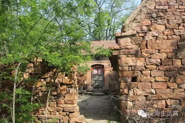 ​原创|像瓜娃一样活着（一个陇南女孩的真实经历）