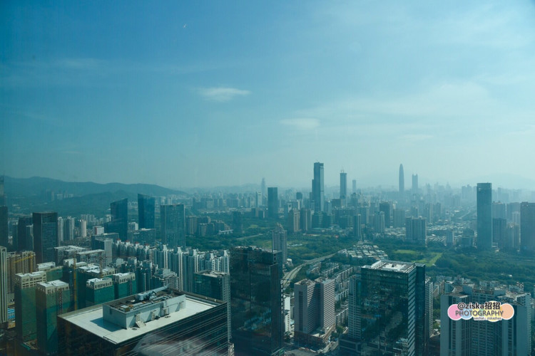 深圳美食广场推荐,深圳美食仙境打卡地