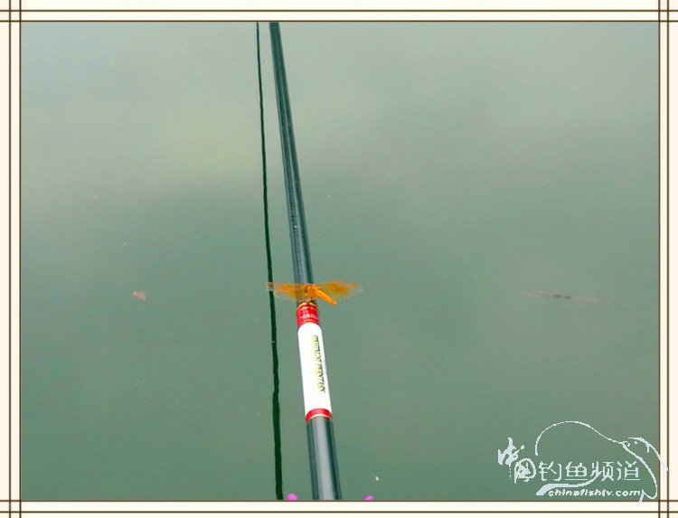 钓鱼独辟蹊径,钓鱼不求渔获