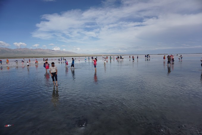青海大西北之旅 (西宁青海湖张掖敦煌夏季之旅)