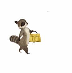 旅行时的规则和注意事项,旅行时要遵守的规则