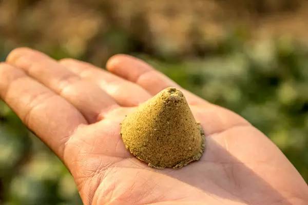 艾灸行业乱象,艾灸传承古法